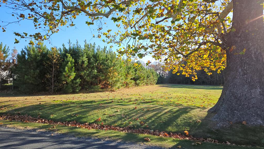 34 A Cherrystone Road, Unit 34A Cape Charles, VA 23310 - Photo 3 of 6