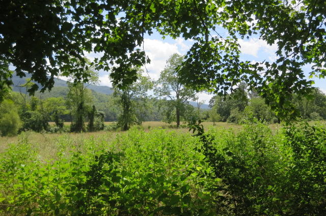 0 Potts Creek Road Paint Bank, VA 24131 - Photo 17 of 25 a view of a lush green forest with lawn chairs