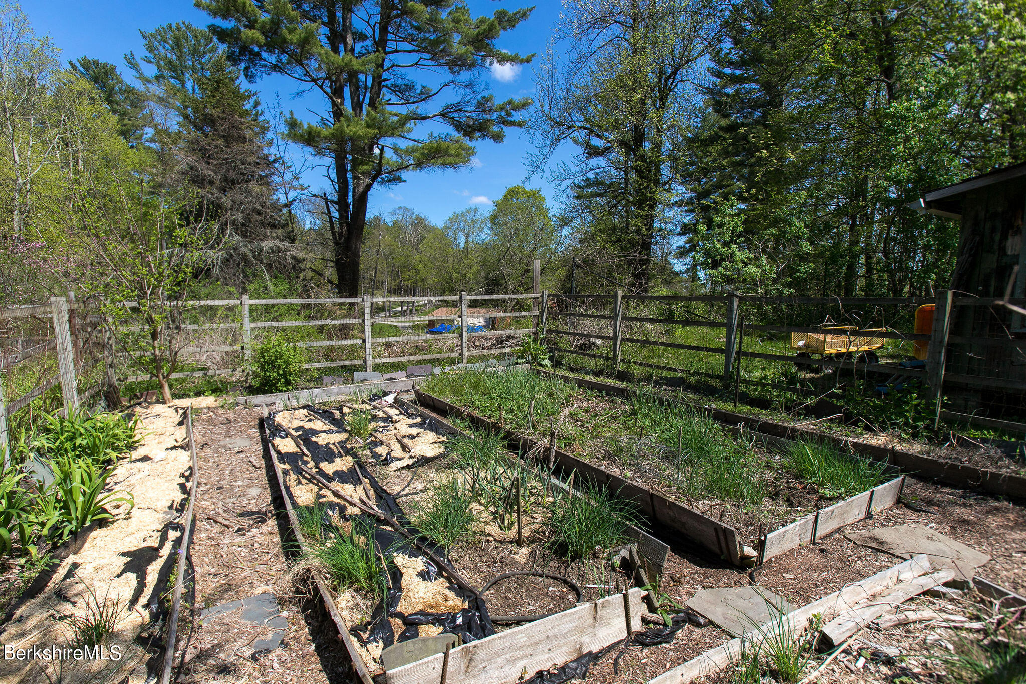 12 Prospect Lake Road Egremont, MA 01230 - Photo 39 of 50 Raised Gardens
