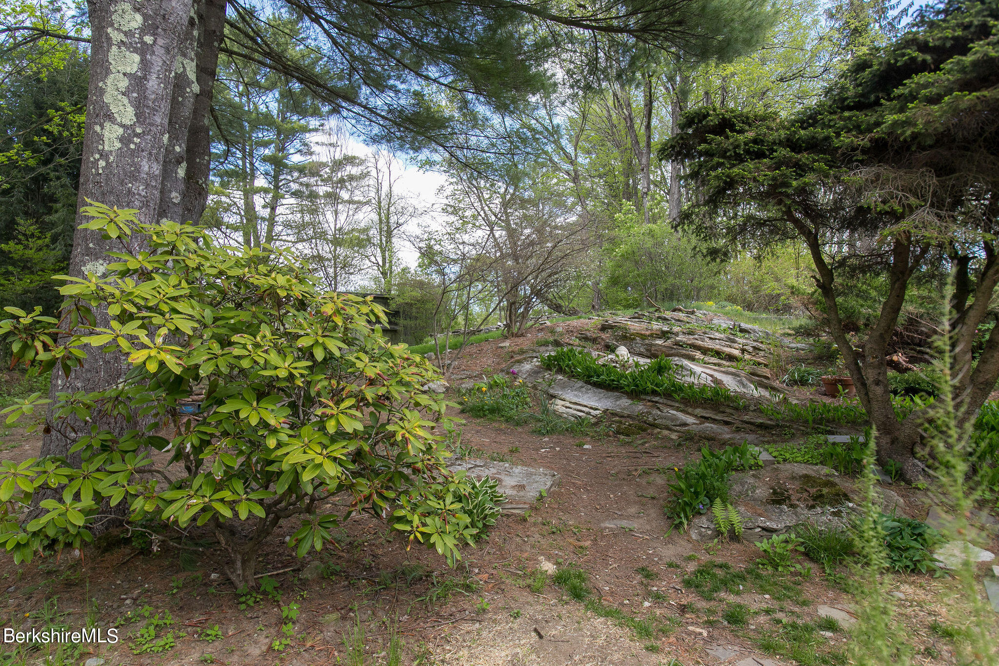 12 Prospect Lake Road Egremont, MA 01230 - Photo 44 of 50 Yard
