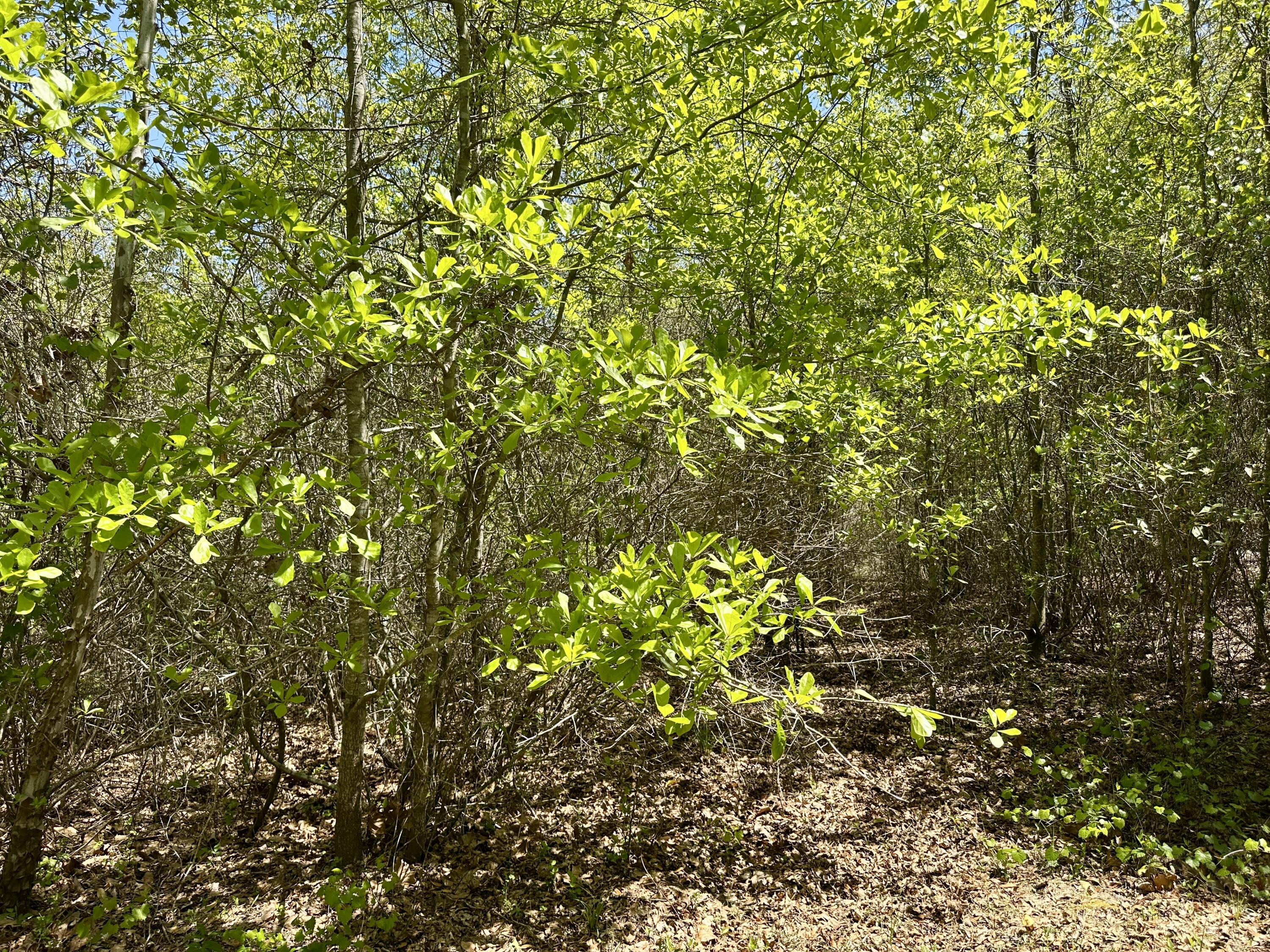3021 Salley Road Salley, SC 29137 - Photo 61 of 73