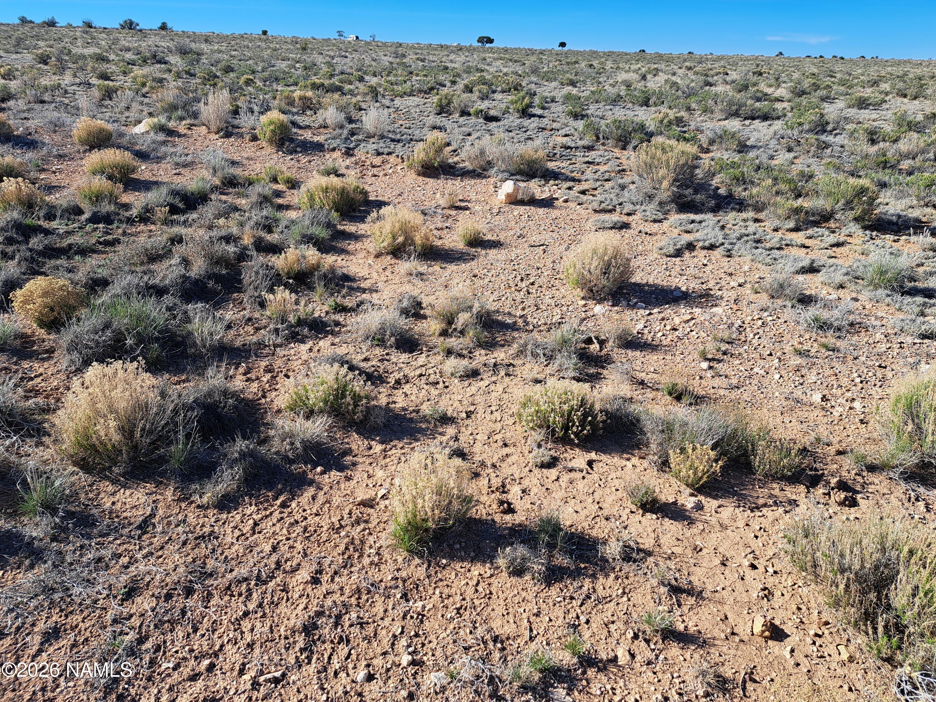 1129 Waddell Road Williams, AZ 86046 - Photo 3 of 3 20260318_162002