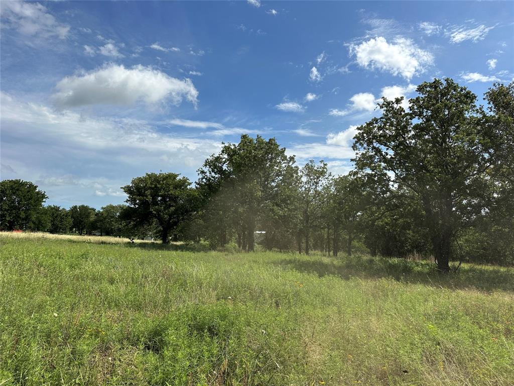 570 Big Salty Lane Springtown, TX 76082 - Photo 28 of 36 Expansive open field with natural grass