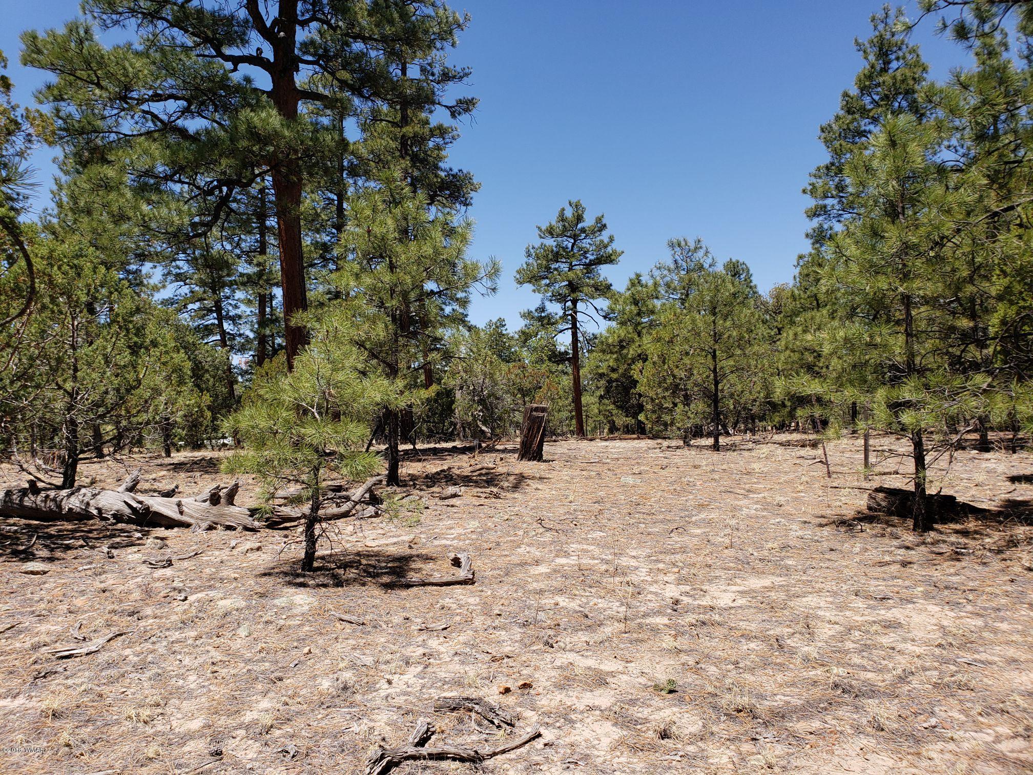 2720 High Ridge Road Overgaard, AZ 85933 - Photo 6 of 7