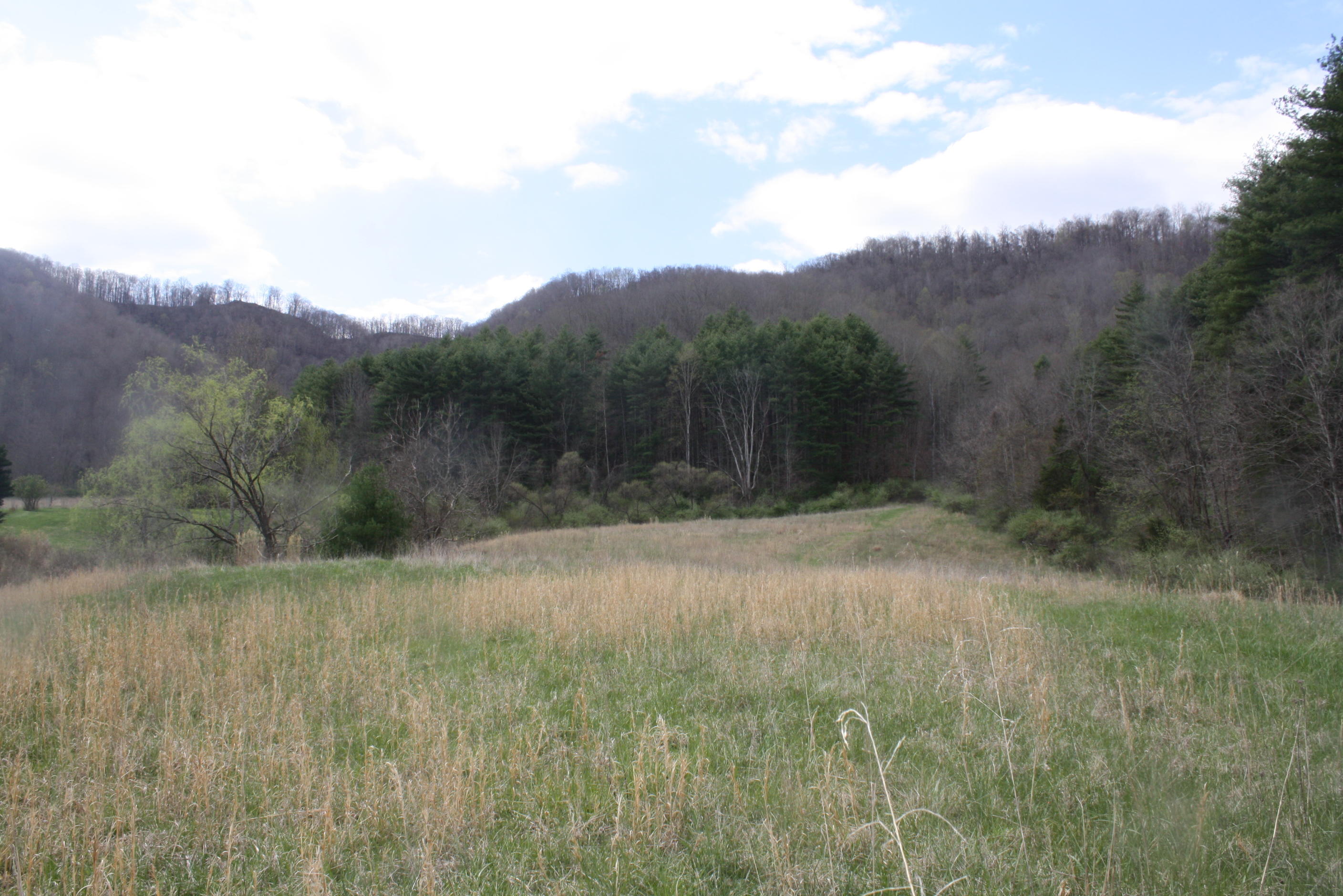 722 East Woodrumtown Road Hinton, WV 25951 - Photo 97 of 145 Gallery Image 97