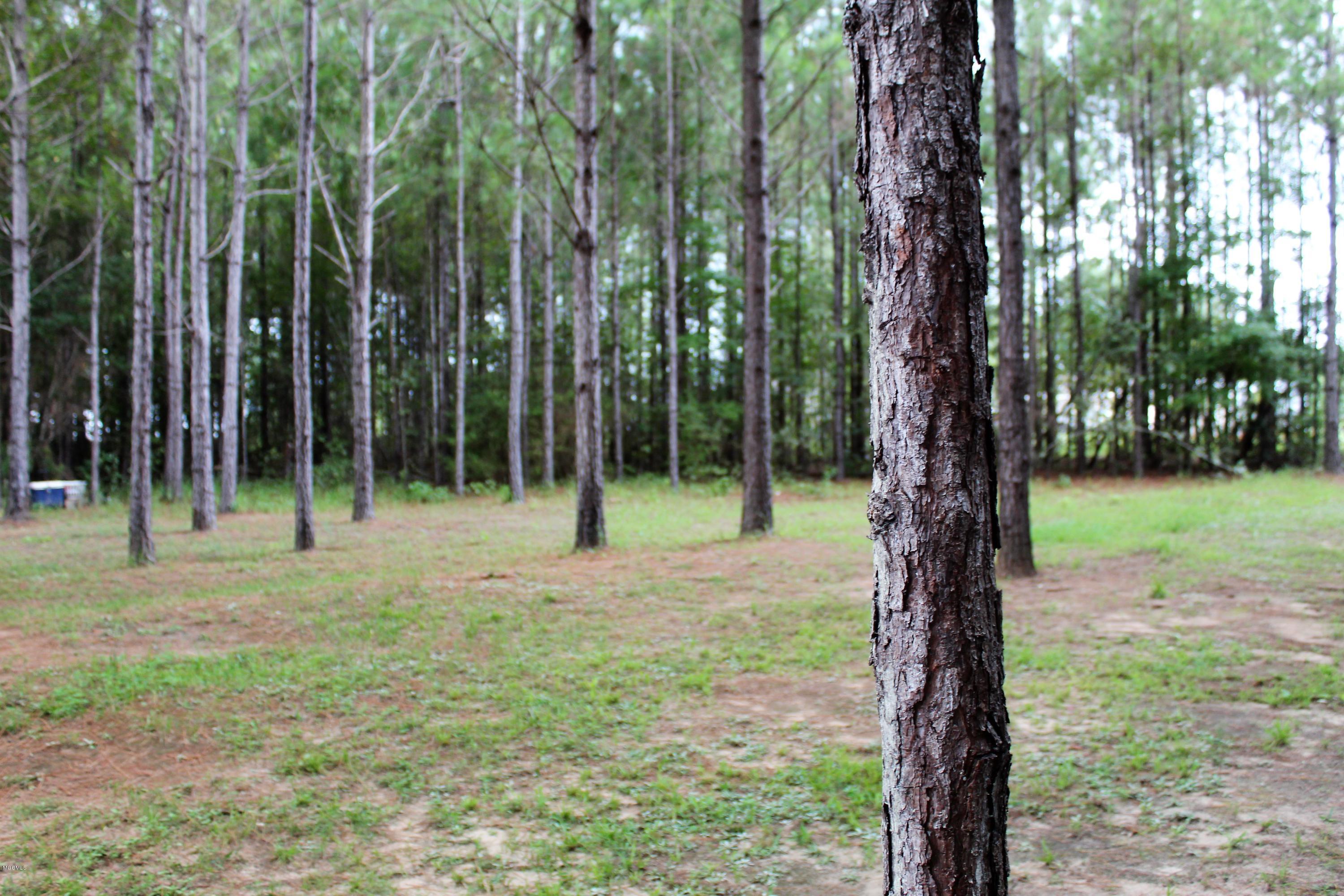 247 Gordon Road Lucedale, MS 39452 - Photo 20 of 22 IMG_2287
