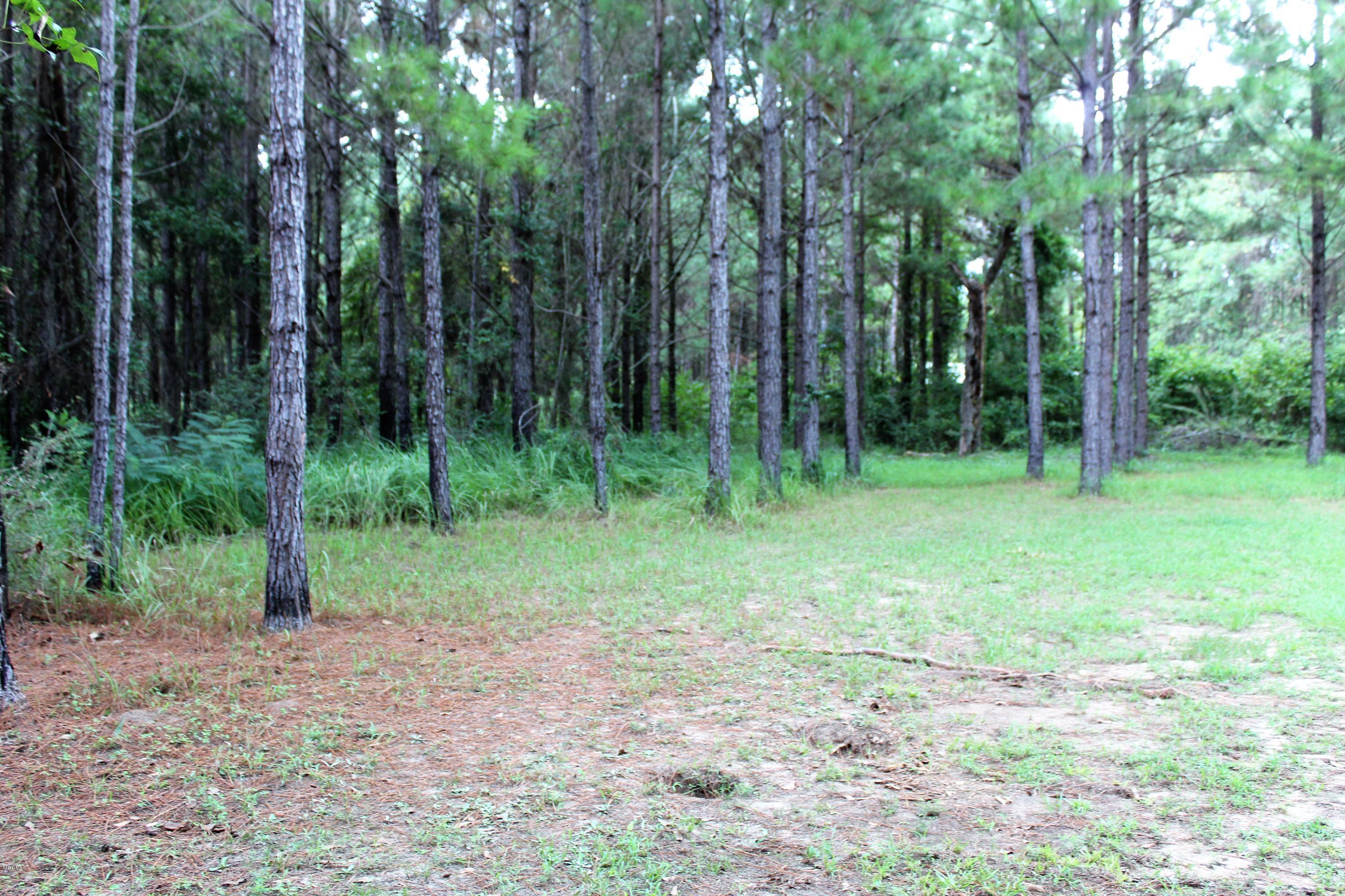 247 Gordon Road Lucedale, MS 39452 - Photo 21 of 22 IMG_2288