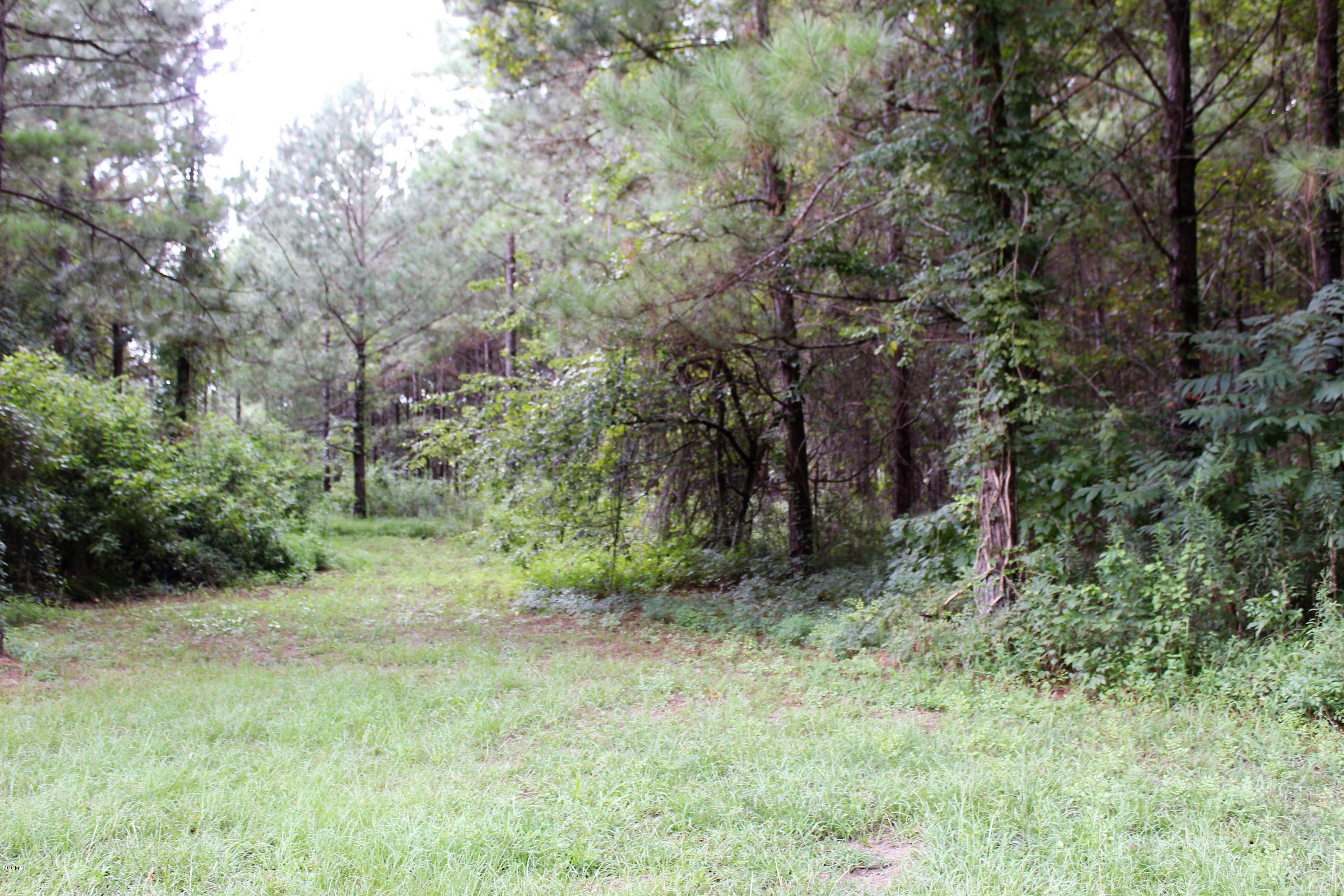 247 Gordon Road Lucedale, MS 39452 - Photo 22 of 22 IMG_2291
