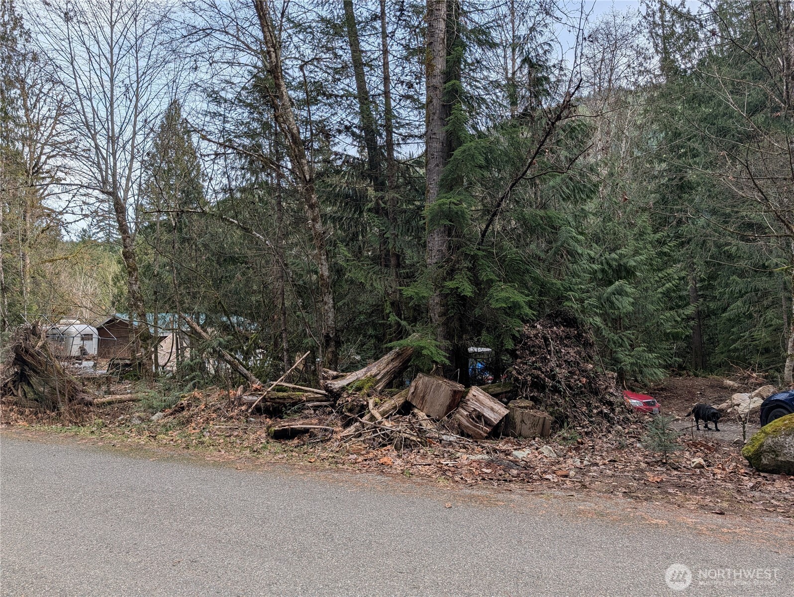 64062 Cascade River Road Marblemount, WA 98267 - Photo 6 of 7 a view of a backyard with a tree