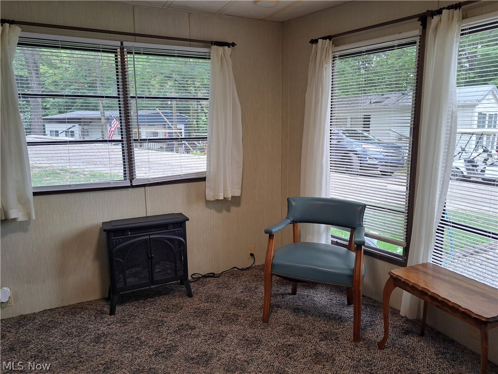 17875 Lashley Road, Unit 124 Senecaville, OH 43780 - Photo 25 of 45 Dining area featuring carpet and plenty of natural light and electric fireplace/heater