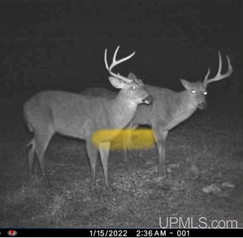 T-wi Birch Hill Road Amberg, WI 54102 - Photo 8 of 21