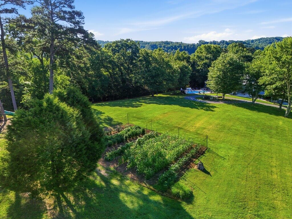 350 Piney Point Road Spring City, TN 37381 - Photo 58 of 82