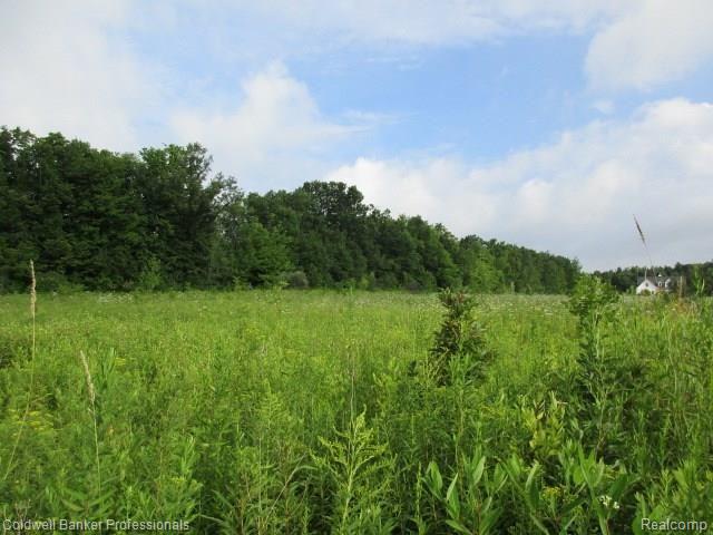 0 Davis Road Attica, MI 48412 - Photo 1 of 6