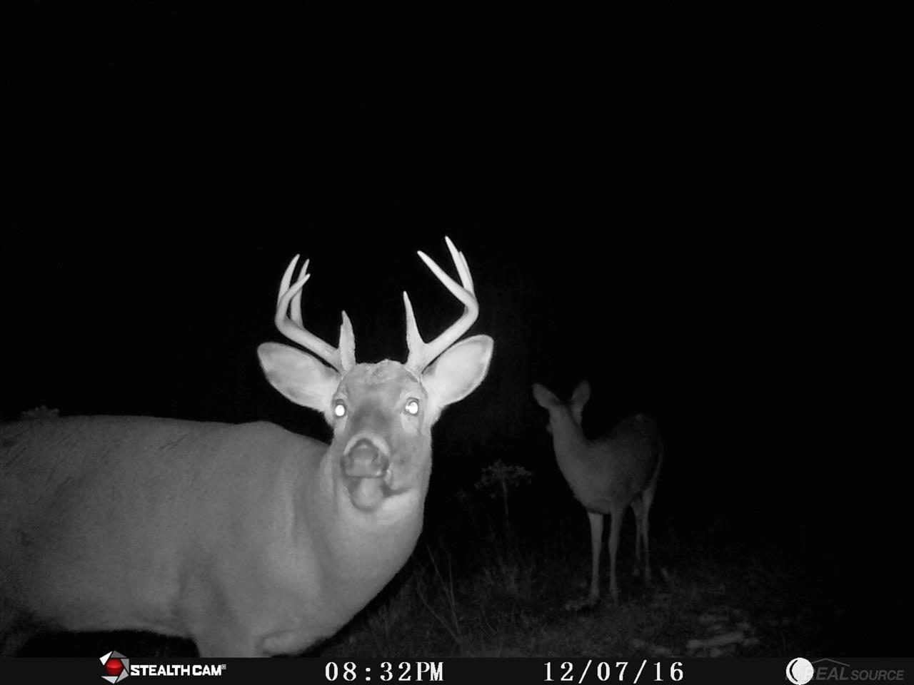 Vl Townsend Applegate, MI 48401 - Photo 27 of 31