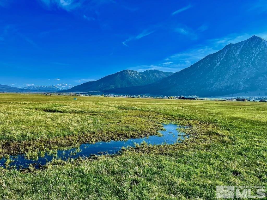 a view of an ocean from a yard