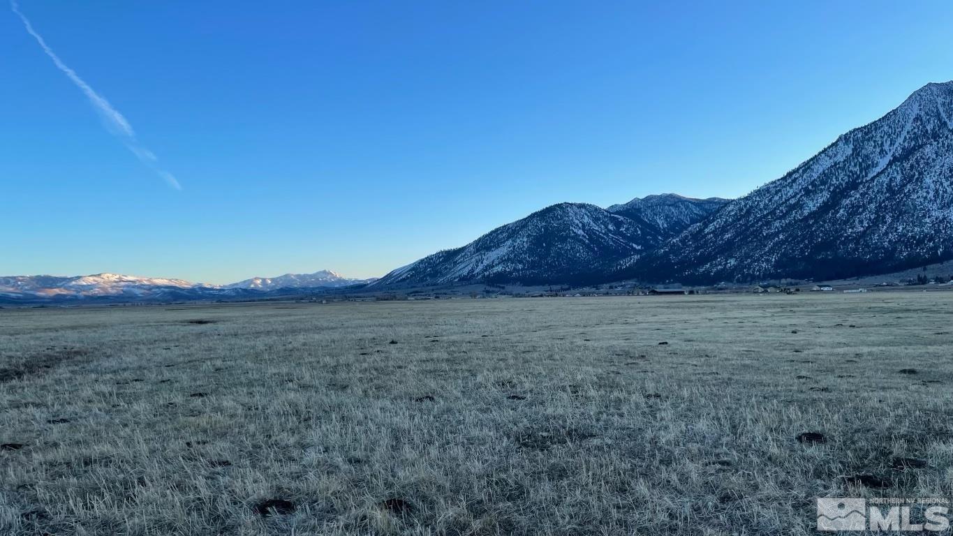 31 Eagle Gardnerville, NV 89460 - Photo 3 of 10 a view of a dry field with mountains in the background