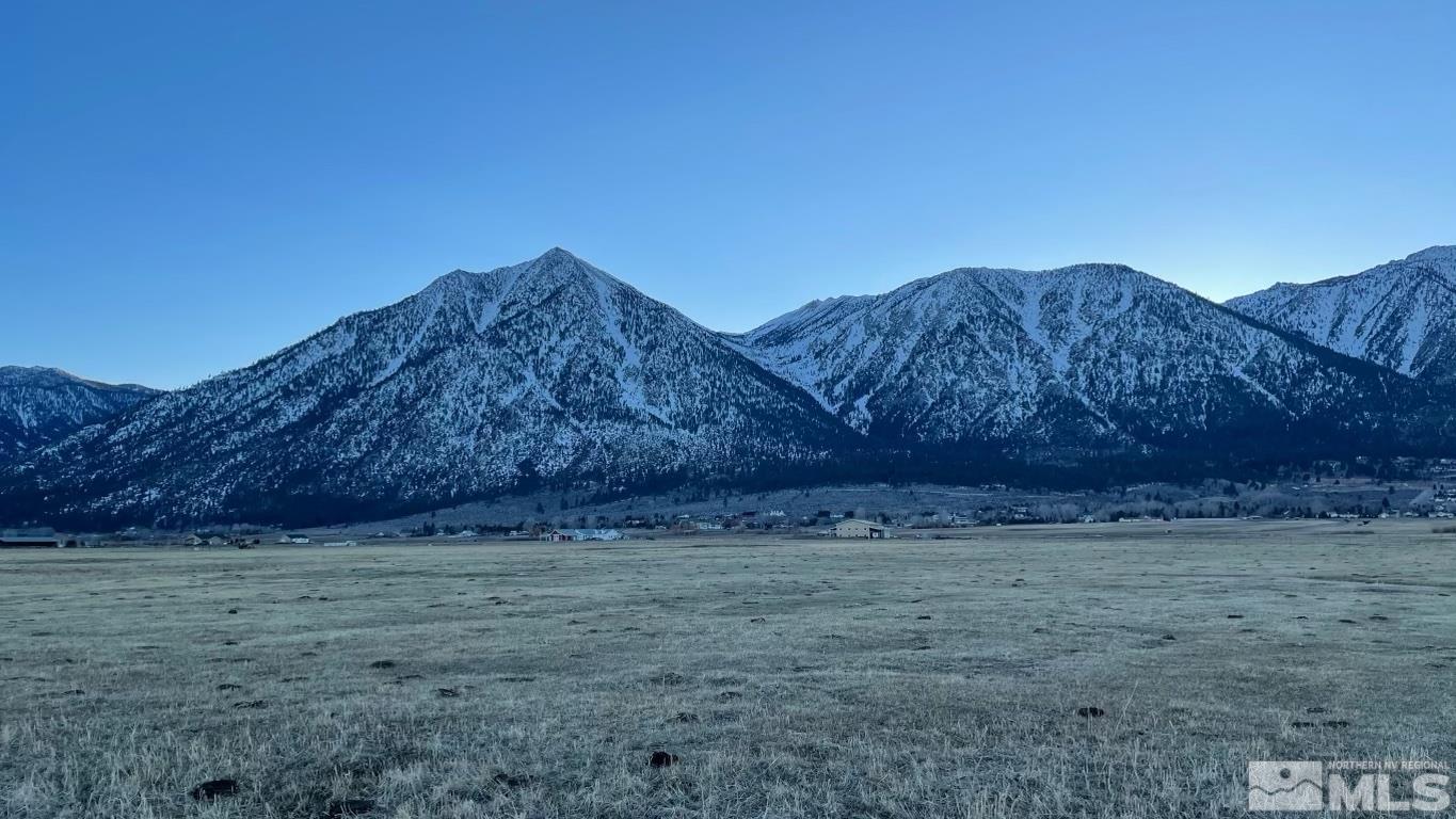 31 Eagle Gardnerville, NV 89460 - Photo 4 of 10 a view of a dry yard with a mountain in the background
