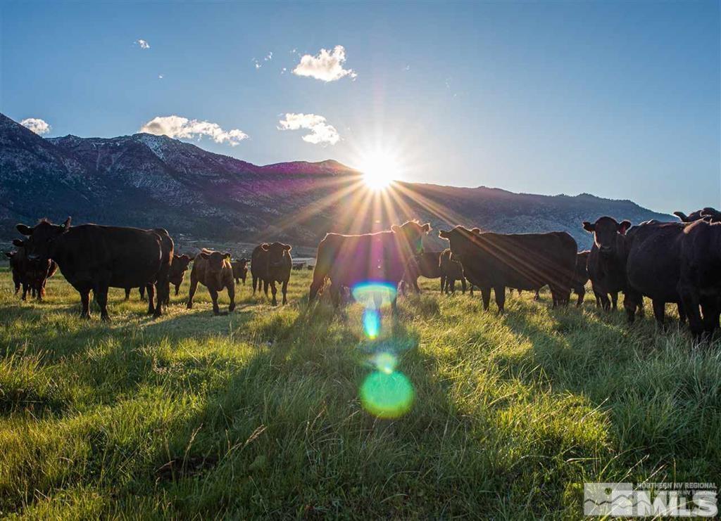 31 Eagle Gardnerville, NV 89460 - Photo 6 of 10 a view of a back yard of the house