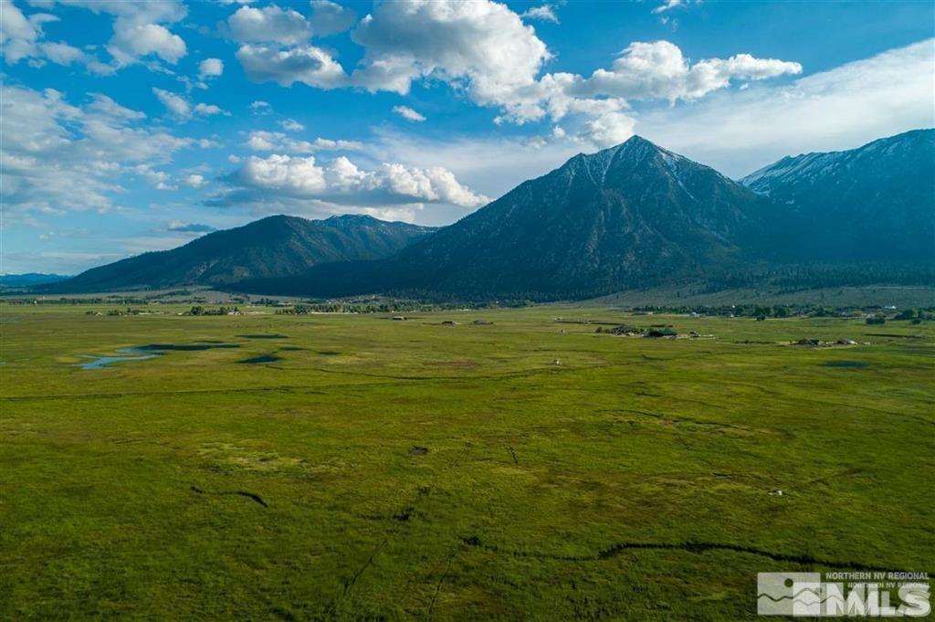 31 Eagle Gardnerville, NV 89460 - Photo 10 of 10 a view of a big yard with lots of green space