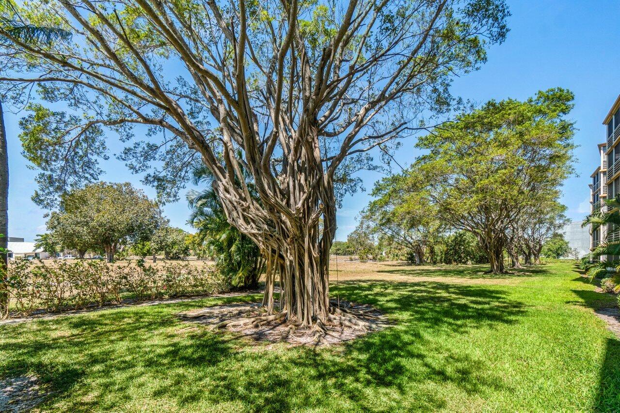6461 Northwest 2nd Avenue, Unit 4110 Boca Raton, FL 33487 - Photo 31 of 31 038-6461Northwest2ndAvenue-411-BocaRaton