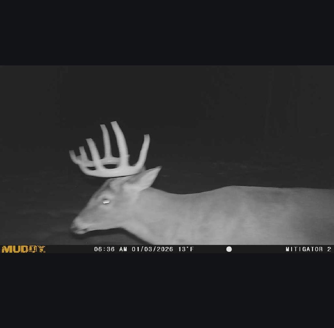 12360 Ronneby Road Northeast Foley, MN 56329 - Photo 26 of 27