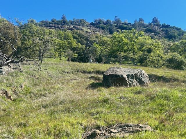 0 Moccasin Ranch Road Coulterville, CA 95311 - Photo 5 of 11