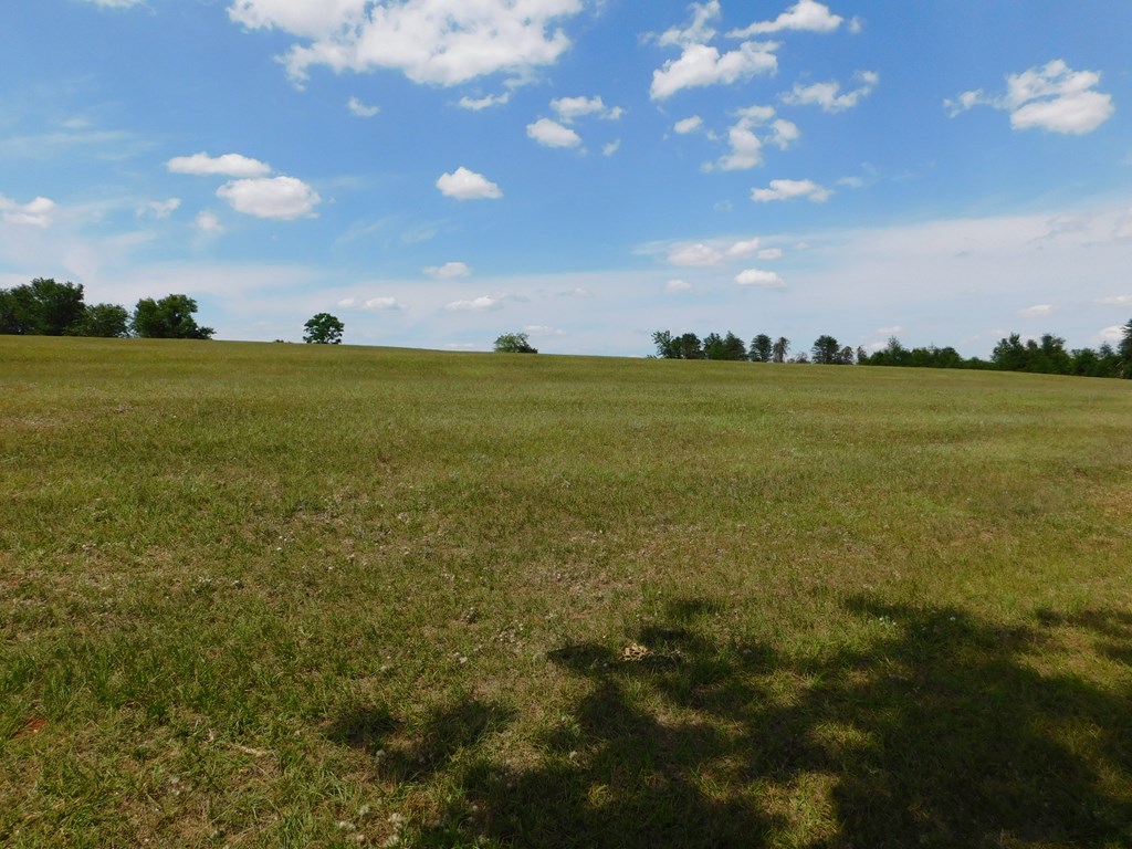 335 Judge Logue Road Newton, AL 36352 - Photo 8 of 74