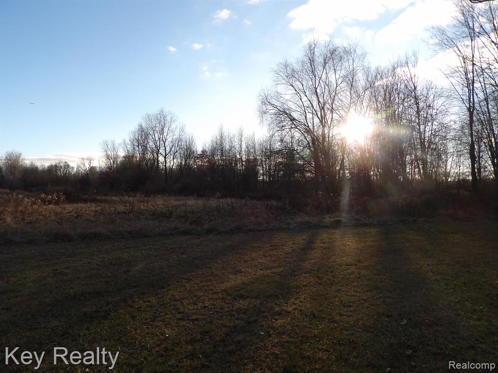 44291 Bemis Road Belleville, MI 48111 - Photo 17 of 54
