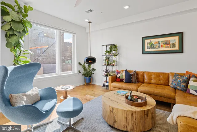 a living room with furniture and a potted plant