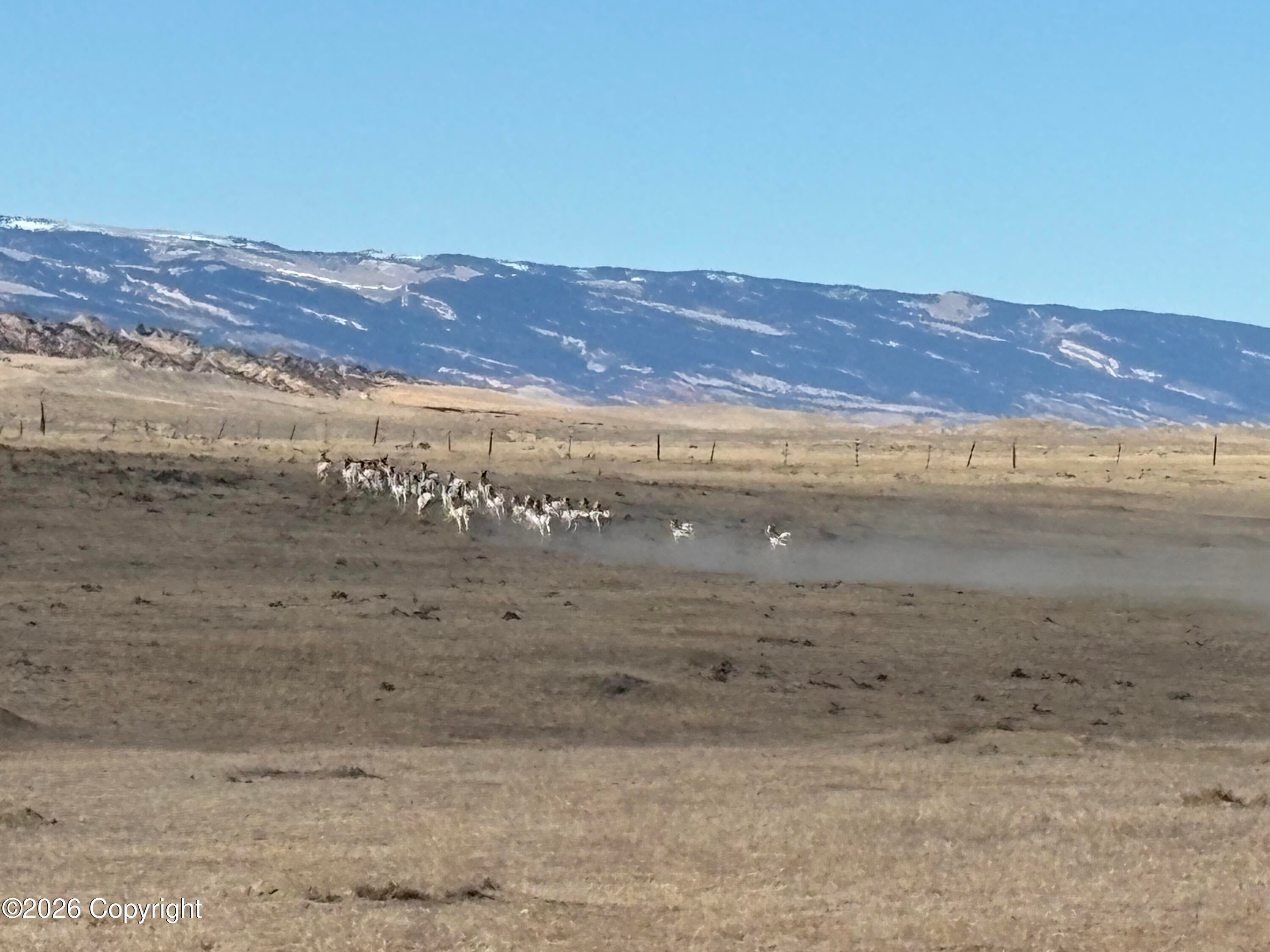 25 Gosney Road Kaycee, WY 82639 - Photo 25 of 62 Gallery Image 25