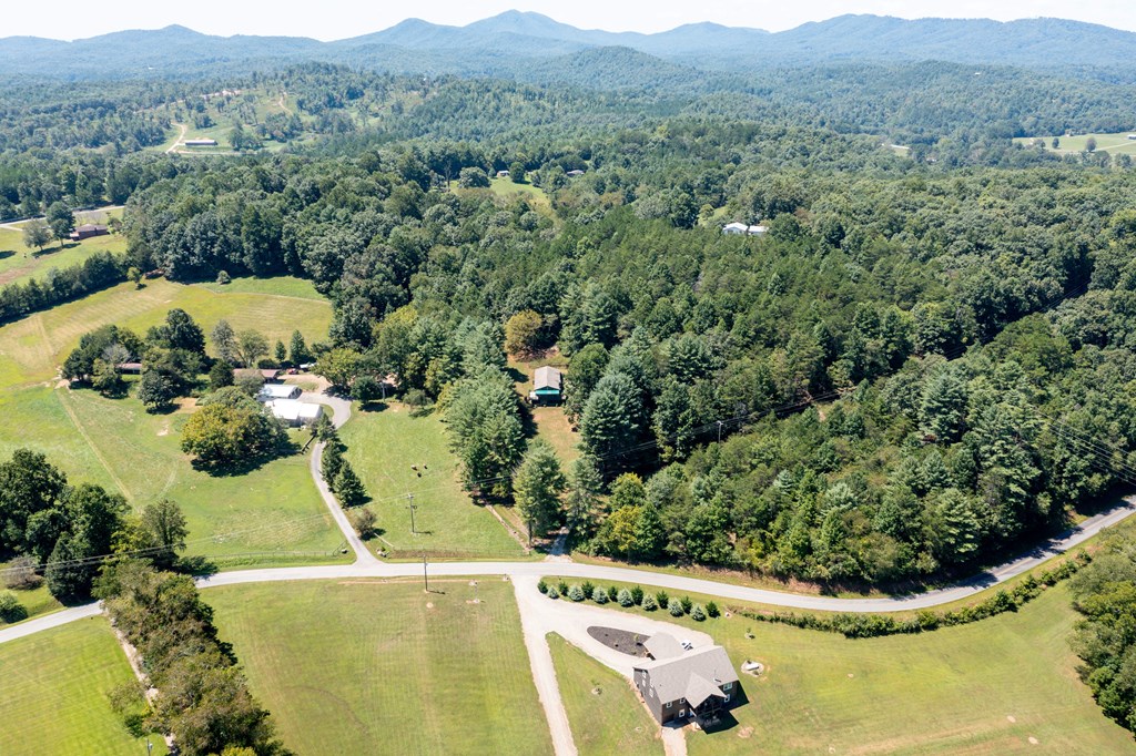 322 Hall Road Warne, NC 28909 - Photo 29 of 35 Gallery Image 29