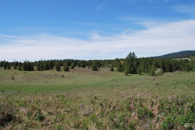 $1,950,000 | 4975 Middle Road, Ahsahka, ID 83520