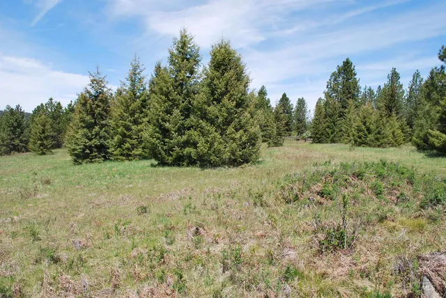 $1,950,000 | 4975 Middle Road, Ahsahka, ID 83520