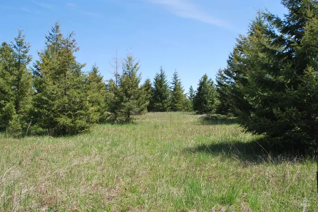 $1,950,000 | 4975 Middle Road, Ahsahka, ID 83520