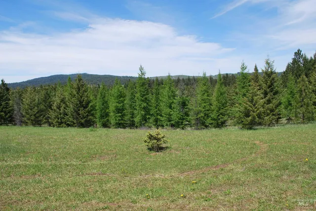 $1,950,000 | 4975 Middle Road, Ahsahka, ID 83520