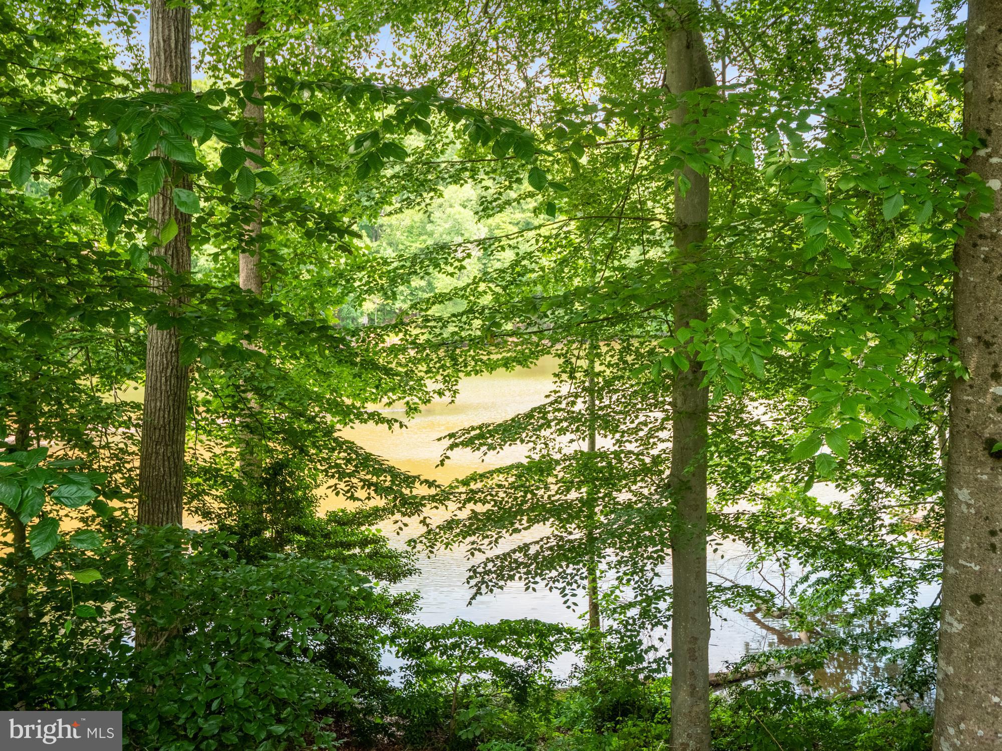8551 Cobb Road Manassas, VA 20112 - Photo 26 of 27 Gallery Image 26