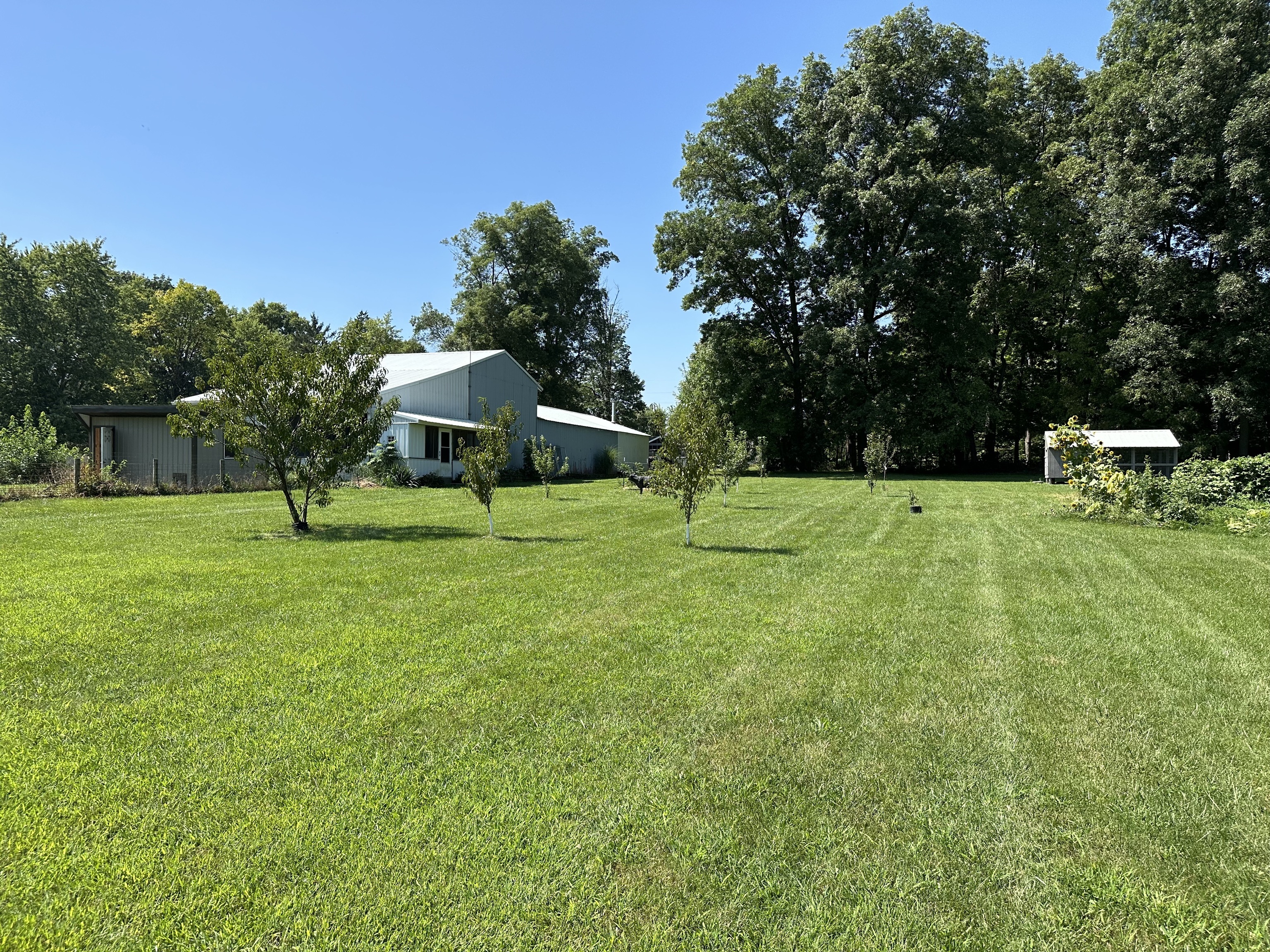 515 North Hickory Street Ladoga, IN 47954 - Photo 5 of 51