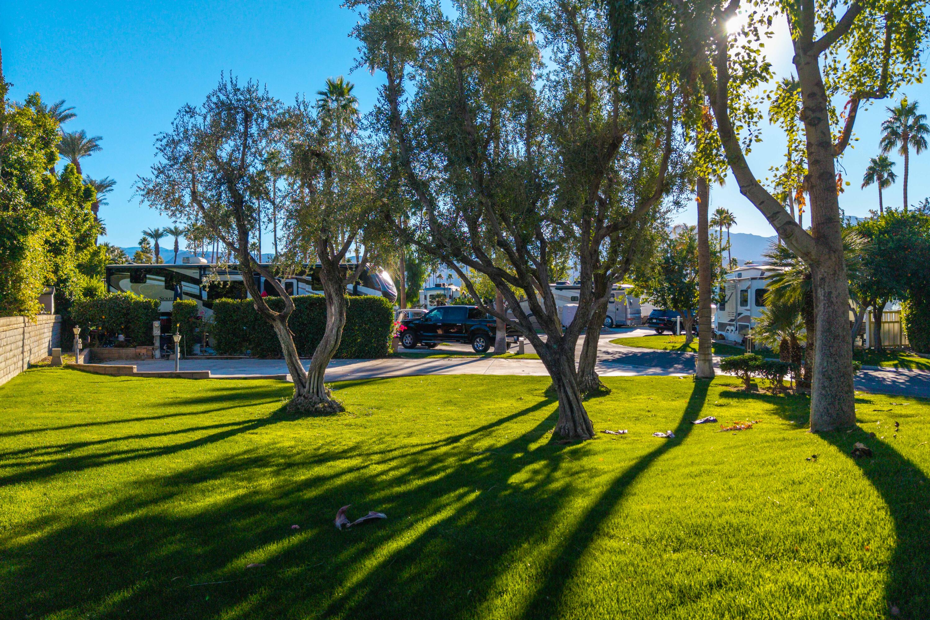69411 Ramon Road, Unit 13 Cathedral City, CA 92234 - Photo 13 of 61 Lot 13 (11)
