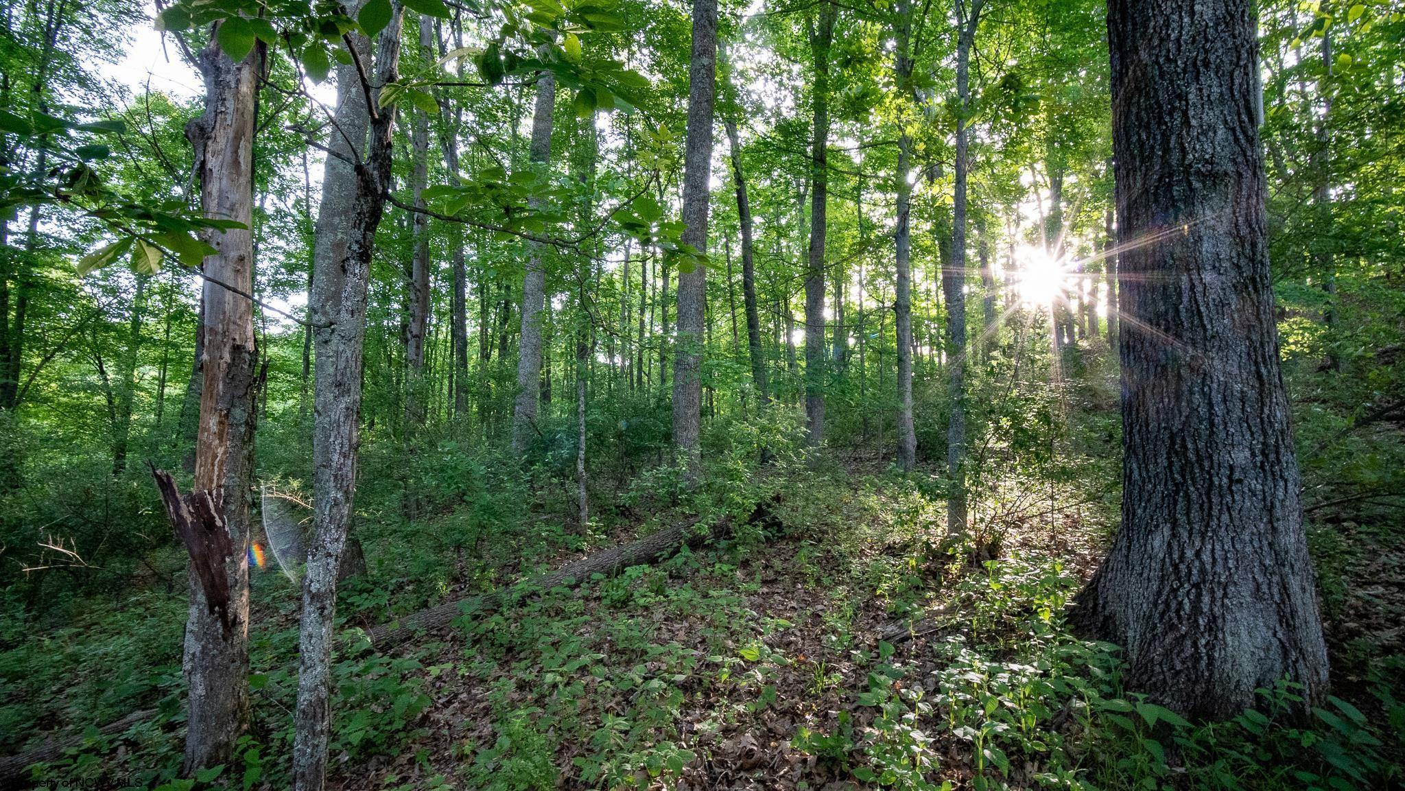 Lot 4 Rocco Run Walkersville, WV 26447 - Photo 15 of 27 Gallery Image 15