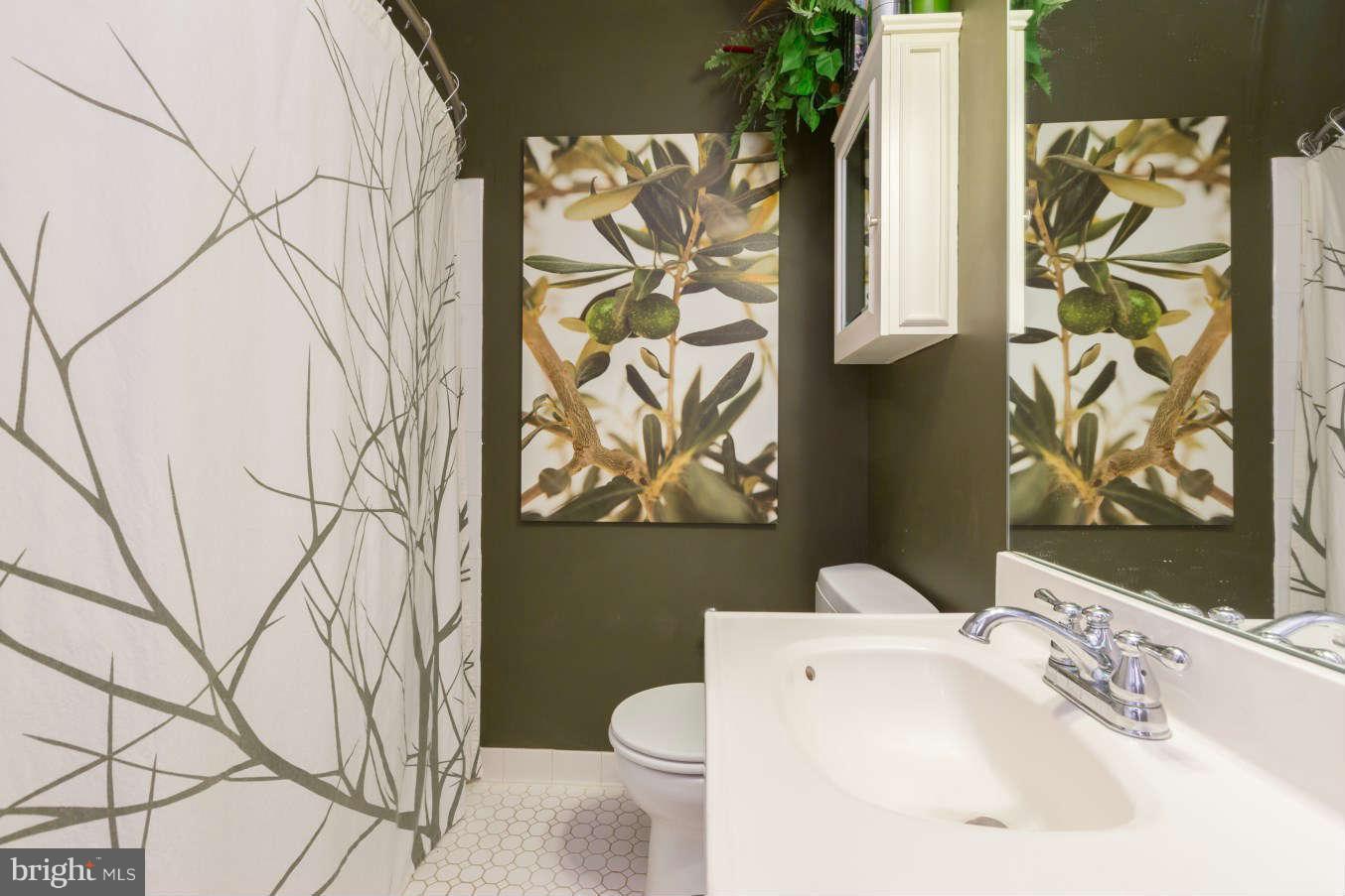 3919 Fulton Street Northwest Washington, DC 20007 - Photo 14 of 18 Interior General