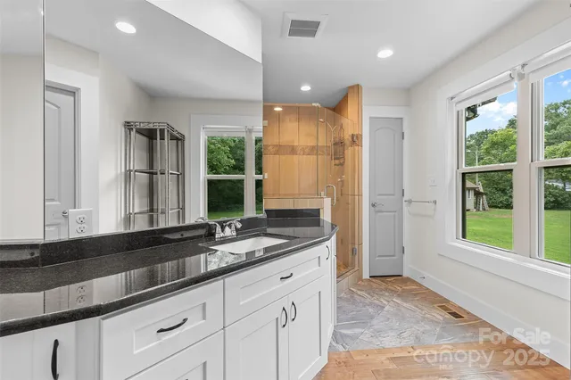 a bathroom with a granite countertop sink mirror and a shower
