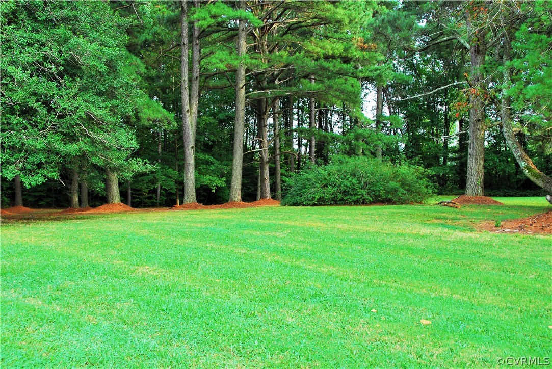 15223 Verdon Road Beaverdam, VA 23015 - Photo 7 of 12 Park Like Rear Yard