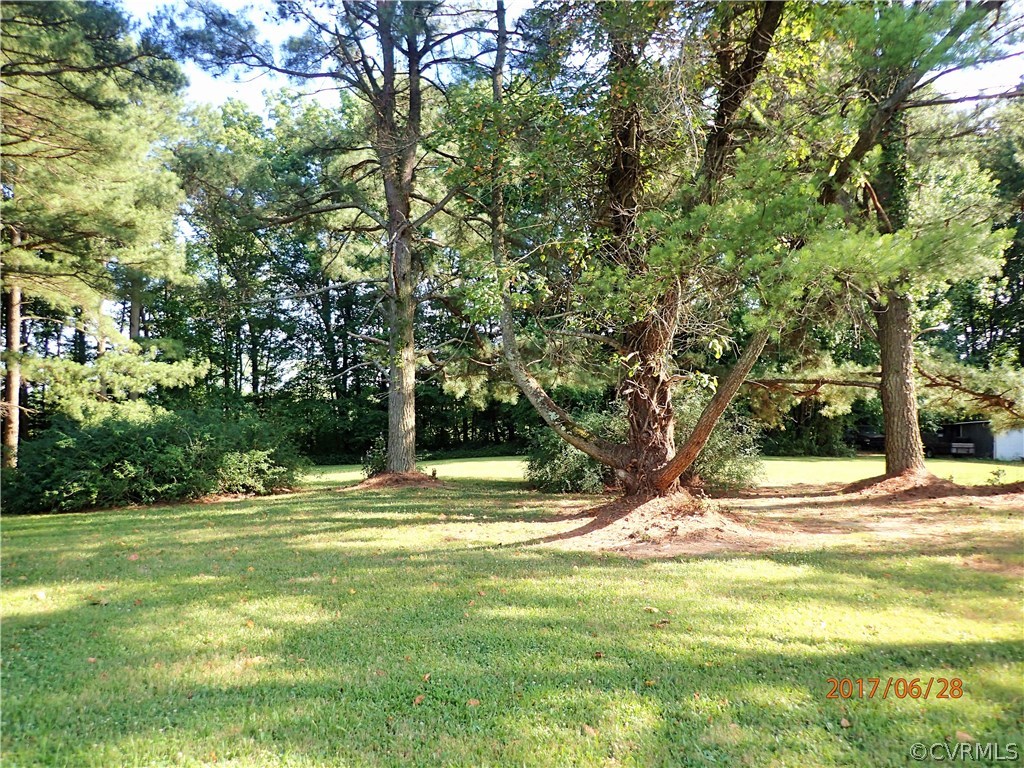 15223 Verdon Road Beaverdam, VA 23015 - Photo 8 of 12 Rear Yard
