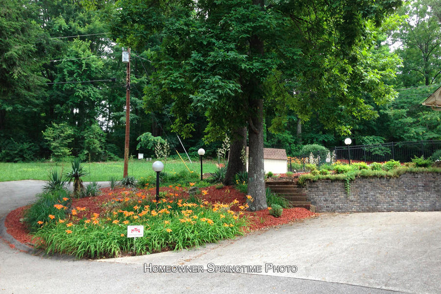 5919 Ridgewood Road Knoxville, TN 37918 - Photo 39 of 40 39_RidgewoodRoad_5919_Spring01