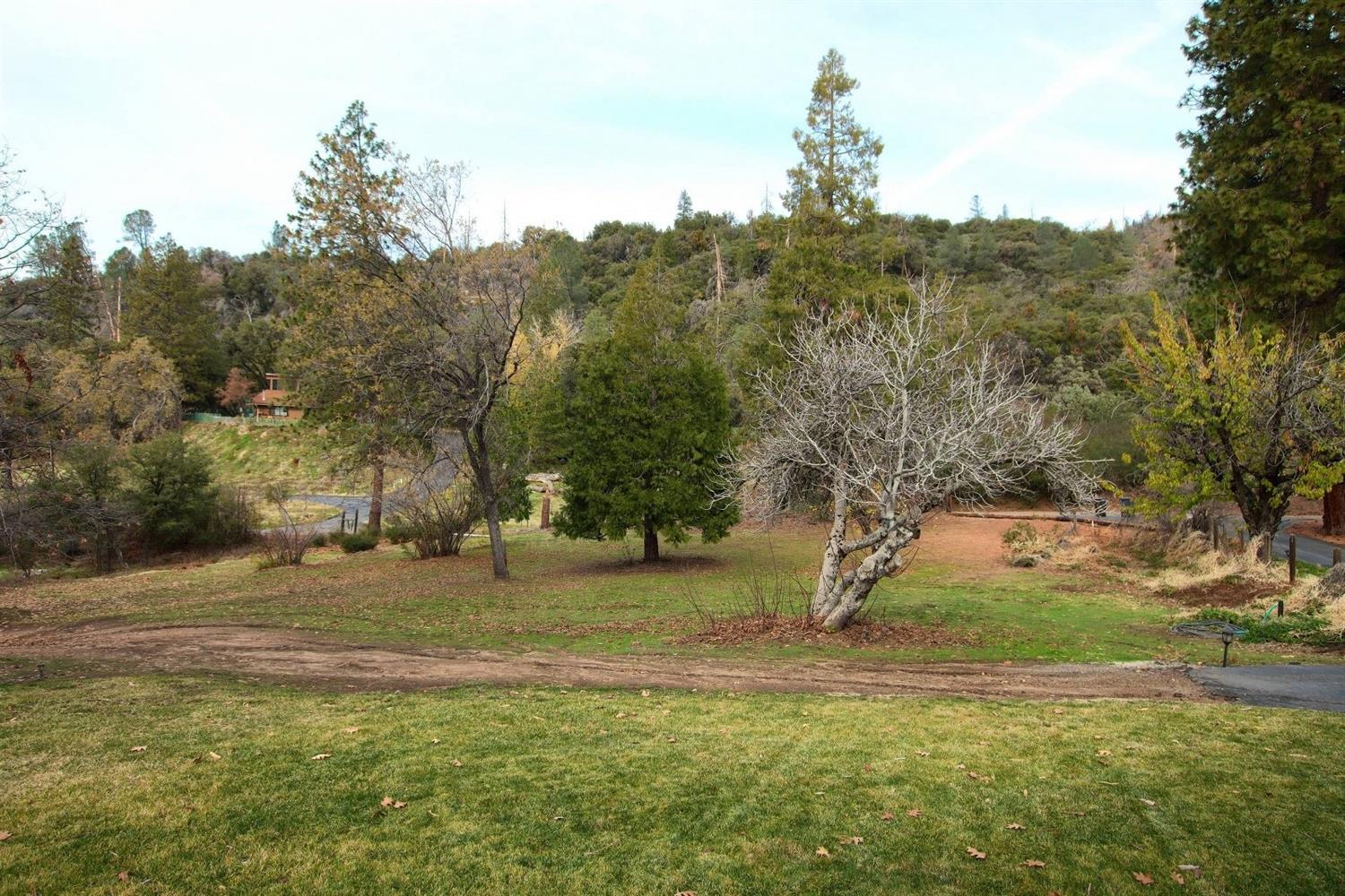 5186 Worman Road Ahwahnee, CA 93601 - Photo 42 of 53 Gallery Image 42