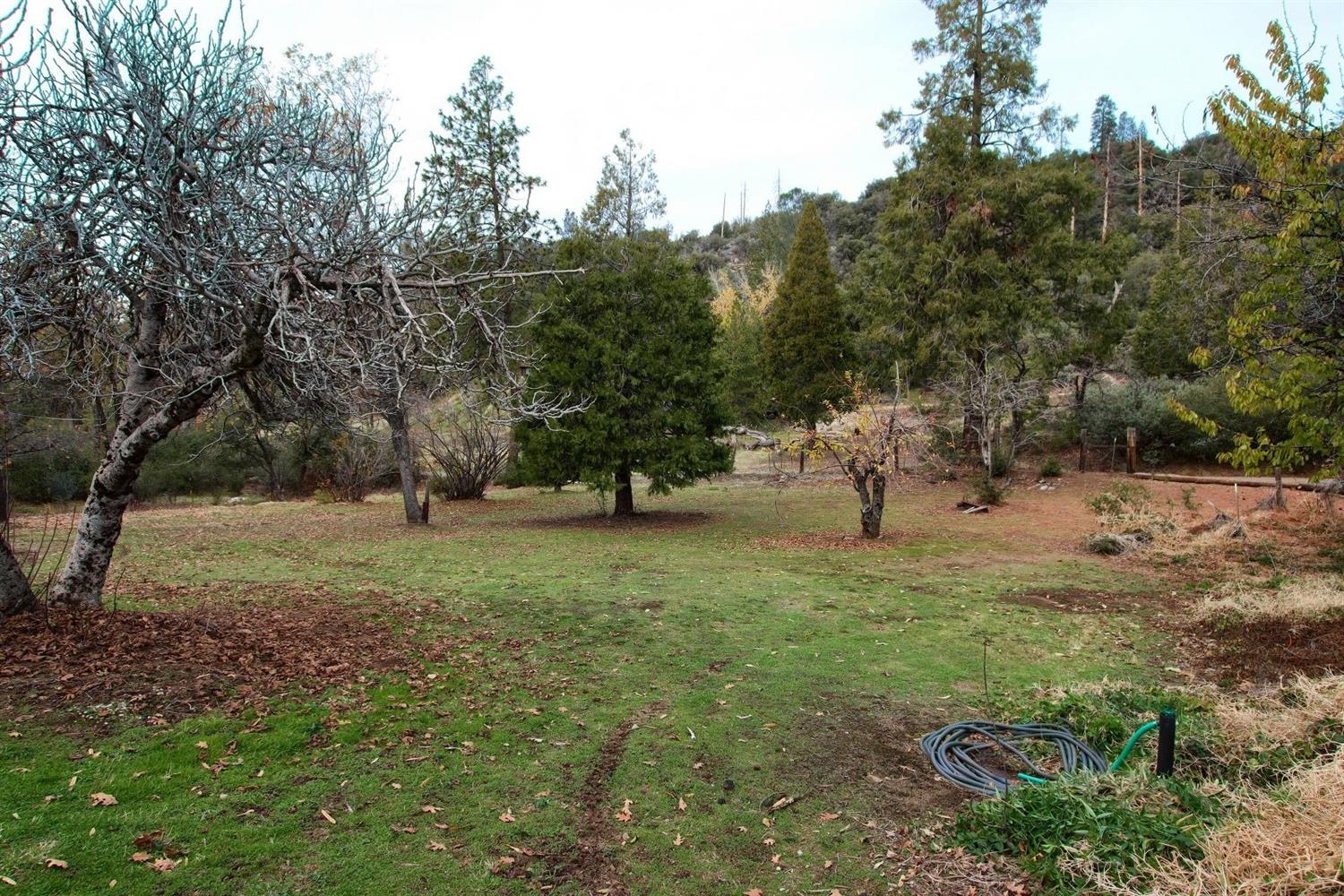 5186 Worman Road Ahwahnee, CA 93601 - Photo 45 of 53 Gallery Image 45