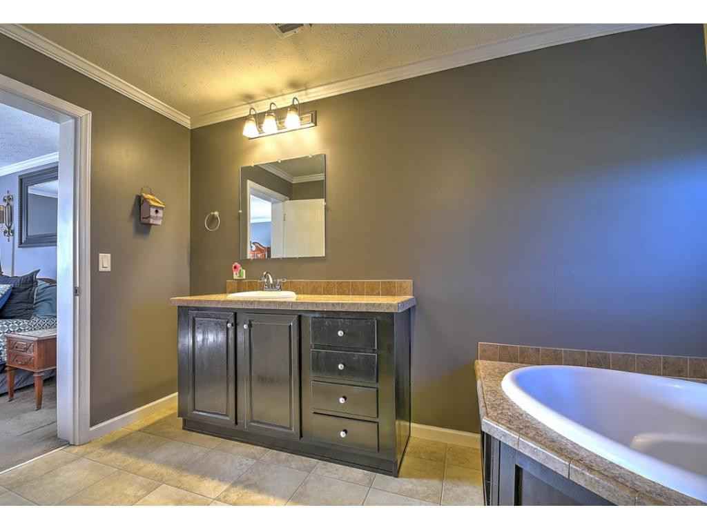 855 Wisecarver Road Mosheim, TN 37818 - Photo 21 of 36 Photo 21