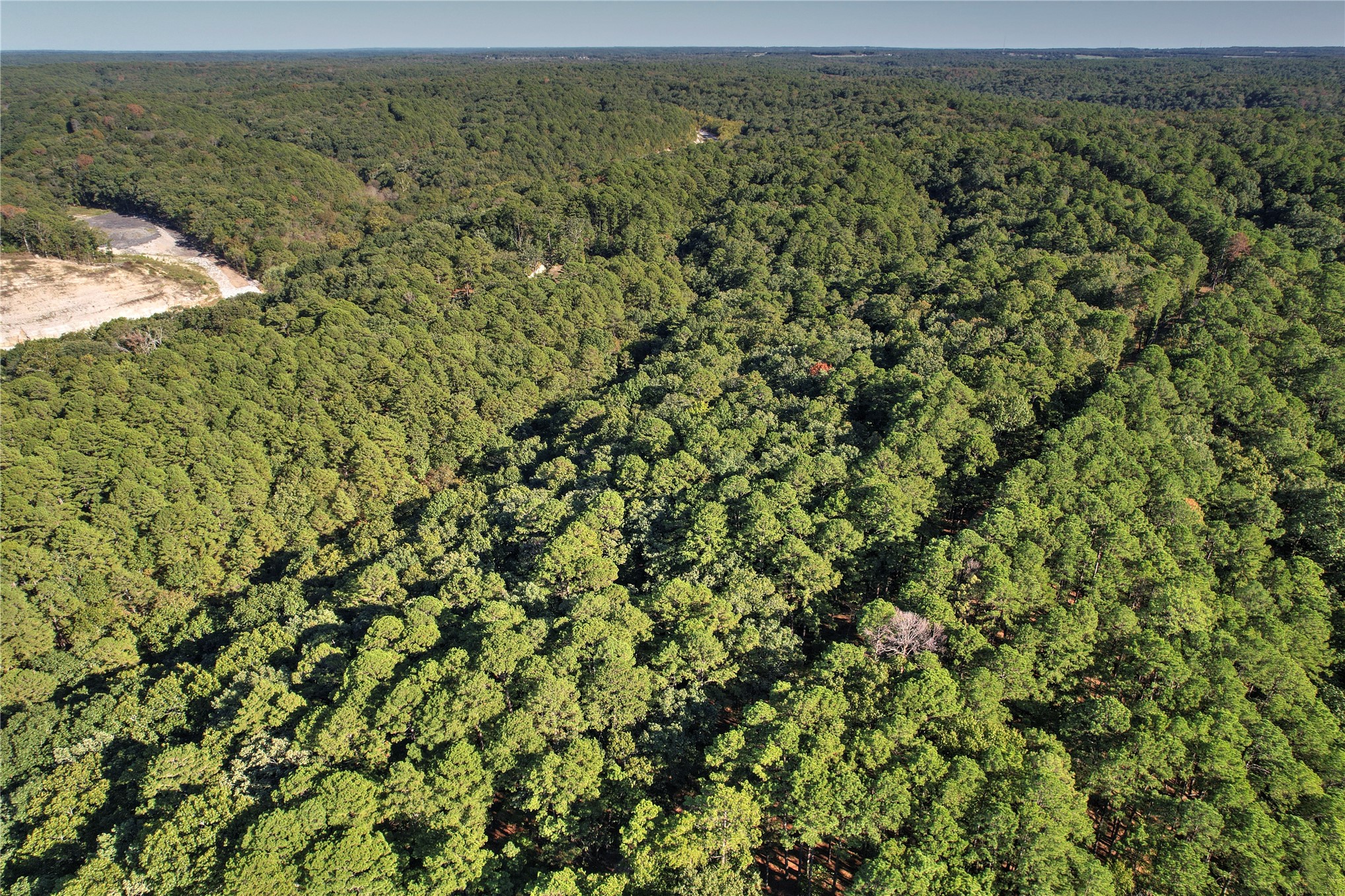 46420 South 590 Road Jay, OK 74346 - Photo 54 of 63 Expansive wooded terrain with a natural water feature