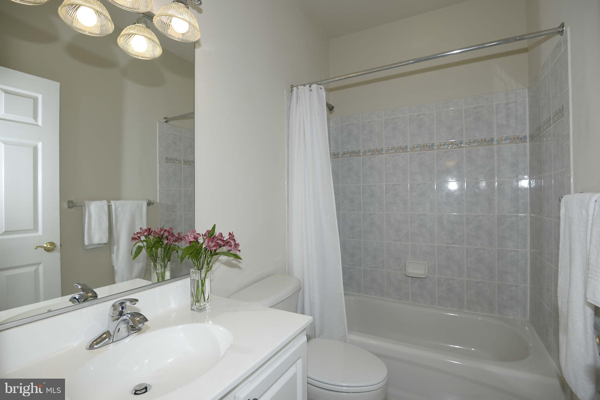 3825 Fulton Street Northwest Washington, DC 20007 - Photo 19 of 29 Interior (General)