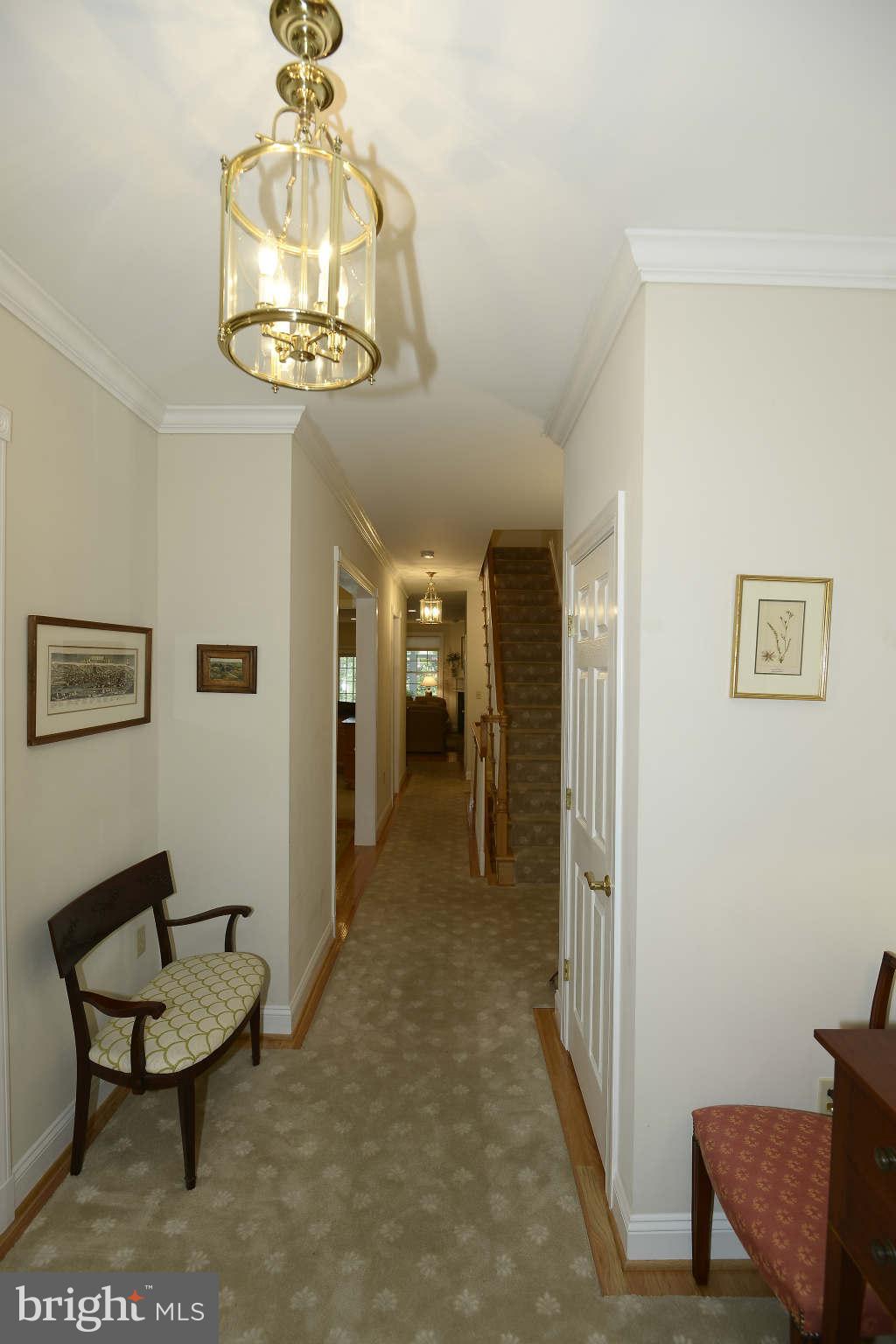 3825 Fulton Street Northwest Washington, DC 20007 - Photo 3 of 29 Interior (General)